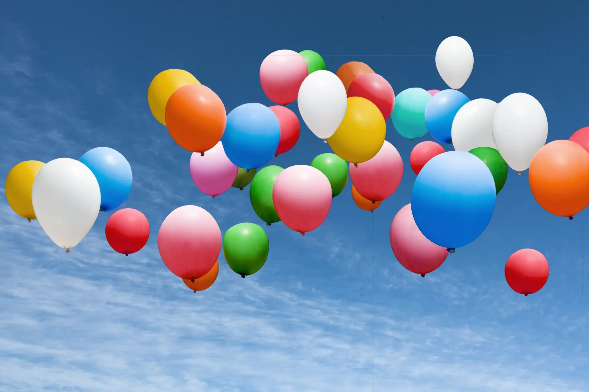 立命館大学の学園際に協賛のイメージ